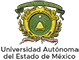 Maestría en Gestión Organizacional